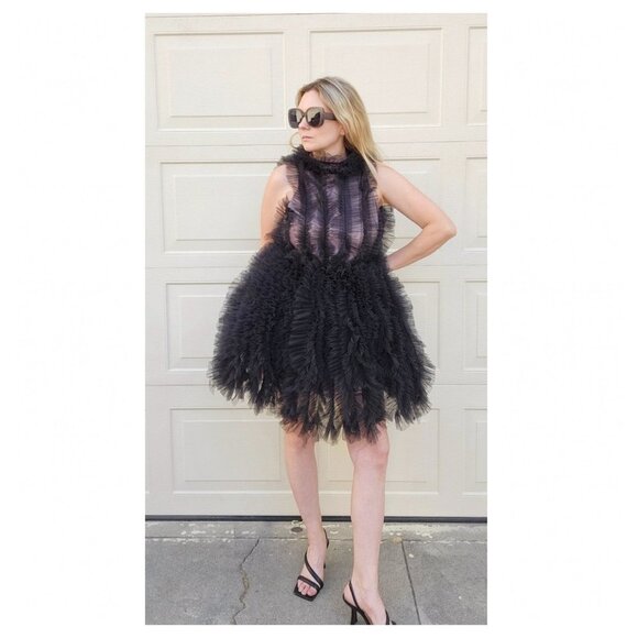 AKIRA Black Tulle Ruffle Mini Dress Dresses
